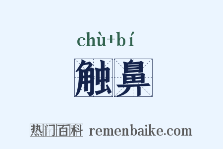 触鼻是什么意思的图片